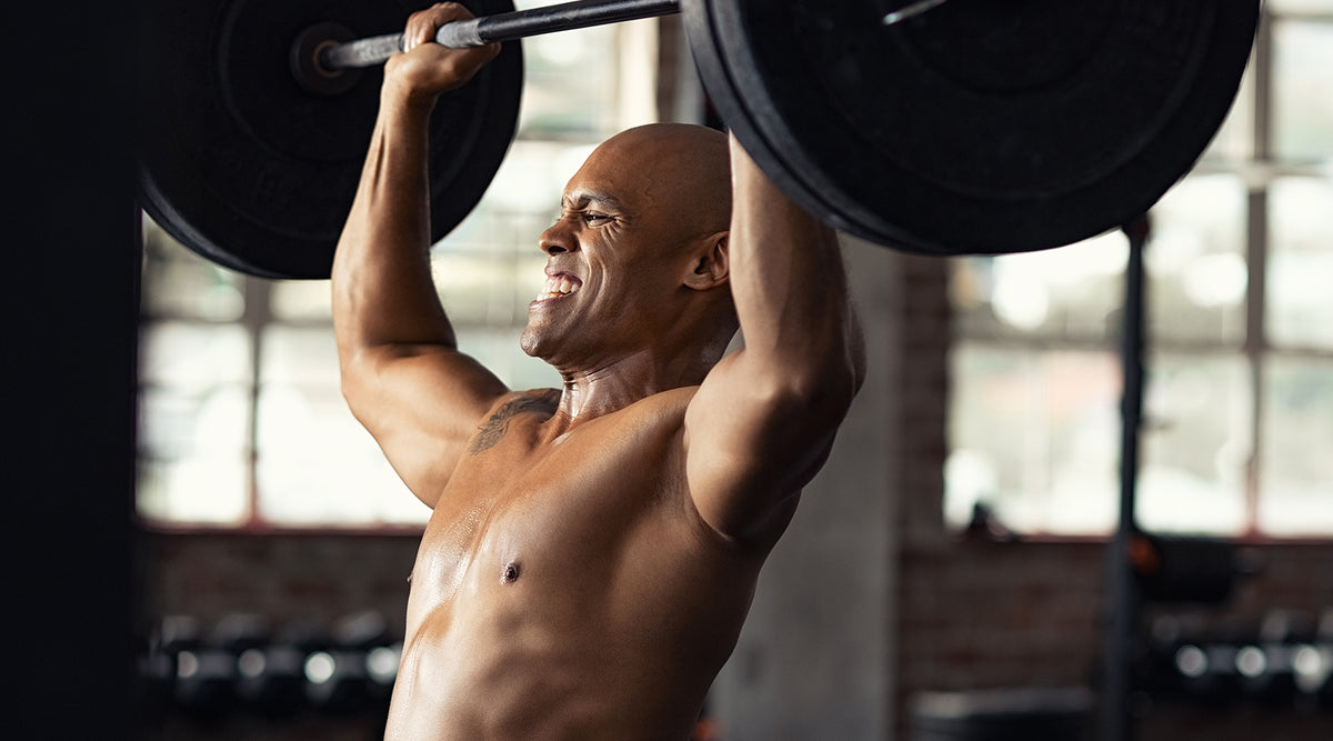 XCELERATED PERFORMANCE PRODUCTS | Nutrishop Boca