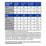 GASPARI PROVEN EGG - Nutrishop Boca