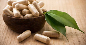 Ashwagandha Bodybuilding Benefits